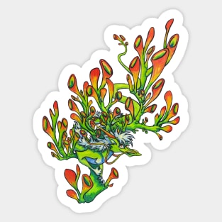 Jade Succulent Dragon Sticker